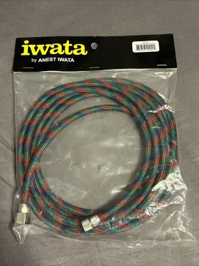Iwabt010 Iwata Airbrushes Braided Rg-3 And W-100 Air Hose 10ft Hh