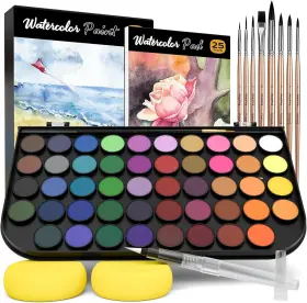 Mg222 Nicpro Watercolor Paint Set 48 Water Colors Kit With 13 Piece Assorted