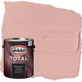 Ppg1058-4 Ppg 396912 Total Exterior Paint And 128 Fl Oz Pack Of 1 Satin Glidden Mesa Pink #2
