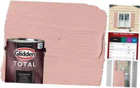 Ppg1058-4 Ppg 396912 Total Exterior Paint And 128 Fl Oz Pack Of 1 Satin Glidden Mesa Pink