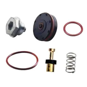 Sizendhk N008792 Regulator Repair Kit For Air Compressor Compatible With Porter