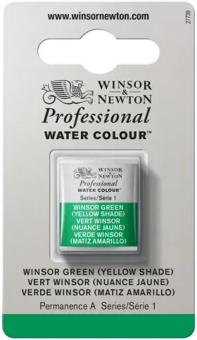 0101721 Winsor & Newton And Professional 1 Count Pack Of Green Yellow Shade