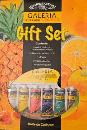K2725h Winsor & Newton And Galeria Flow Formula Acrylic Paint 6-2 Oz Tubes Gift Set