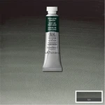 Professional Water Colour 5 Ml Tube 2 Series AWC-460 Perylene Green Color. Fixed Price $10.66.