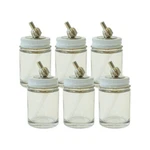 VL-1-OZ-6P 1OZ Glass Bottle Assemblies Pk For Paasche Vl/mil/ts/si Airbrushes. Fixed Price $34.97.