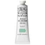 Winsor & Newton Artists' Oil Color, 37ML 1.25 Fl Oz (pack Of 1), Terre Verte. Fixed Price $22.46.