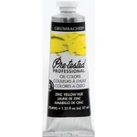 Grumbacher Pre-tested Oil Paint Zinc Yellow Hue. Fixed Price $16.99.