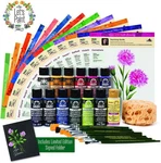 Folkart One Stroke Donna Dewberry Flowers 36 Piece Set, Of The Month. Fixed Price $84.66.