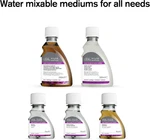 Artisan Water Mixable Painting Medium, 75ML. Fixed Price $17.95.