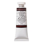 M. Graham 1/2-OUNCE Tube Watercolor Paint, Burnt Umber (33-030) Kitchen. Fixed Price $21.09.