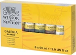 Winsor & Newton Galeria Acrylic Paint, 6 X 12 Fl Oz (pack Of 1), Set. Fixed Price $46.52.