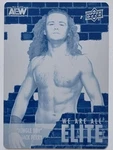 Jungle Boy Jack Perry 2023 Aew Printing Plate Of 1/1 Upper Deck #101268. Fixed Price $199.99.