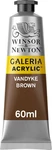 Winsor & Newton Galeria Acrylic Color, 2 Fl Oz (pack Of 1), Vandyke Brown. Fixed Price $10.77.