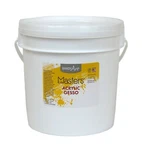 Handy Art Little Masters Economy Acrylic Gallon White Gesso. Fixed Price $49.90.
