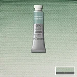 Winsor And Newton Professional Water Colour 5ML Terre Verte. Fixed Price $12.99.