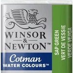 Winsor & Newton Cotman Watercolor Paint, Half Count (pack Of 1), Sap Green. Fixed Price $11.76.