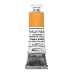 Michael Harding Artist Oil Colours, Naples Yellow, 40ML Tube, 21840. Fixed Price $32.99.