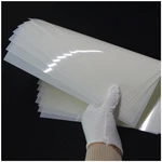 Blank Mylar Stencil Sheet 10 Pack 12X24" 7.5MIL Thick Translucent Plastic. Fixed Price $25.58.